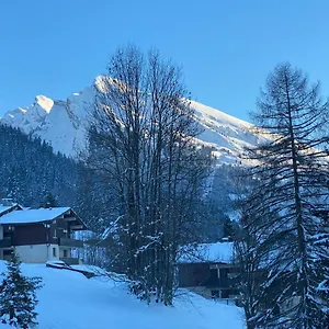 Appartement Les Bouquetins, La Clusaz